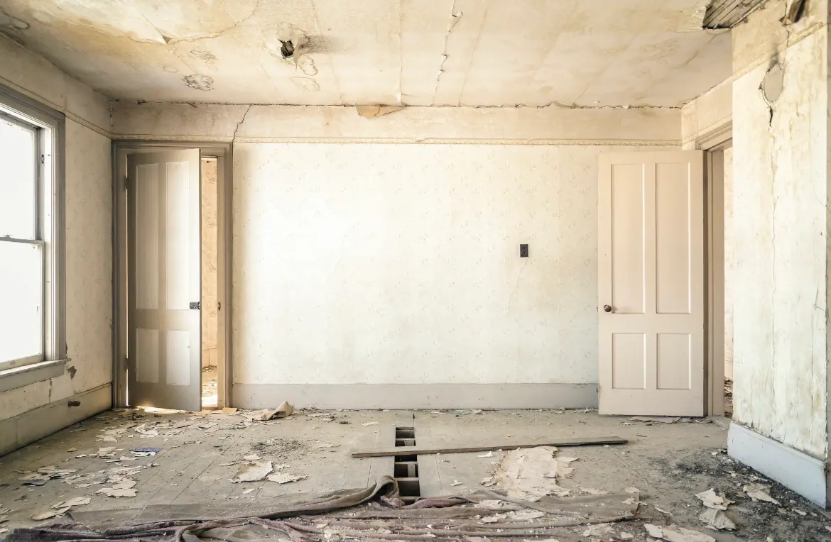 Waste disposal crew managing a cleanout project in Springfield